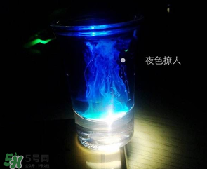 僵尸雞尾酒配方是什么？僵尸雞尾酒配方做法