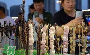 鱷魚肉價(jià)格多少錢一斤？吃鱷魚犯法嗎？