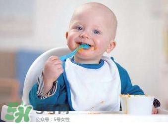 寶寶幾個月可以吃肉松？寶寶多大可以吃肉松