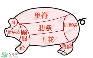 后臀尖多少錢一斤？豬后臀尖在哪？