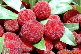 楊梅吃多了會(huì)上火嗎？楊梅吃多了會(huì)胖嗎？