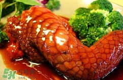 鱷魚肉是寒性的嗎？ 鱷魚肉是寒性還是溫性？