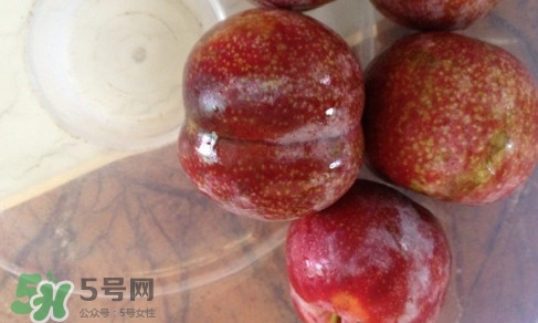 三華李可以和香蕉一起吃嗎？香蕉能和三華李一起吃嗎