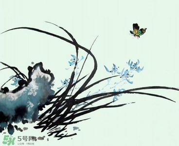 空谷幽蘭是什么書？空谷幽蘭講的是什么？