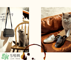 belle是什么牌子？百麗是哪個(gè)國(guó)家的品牌？