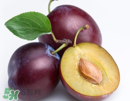 三華李可以放多久？三華李可以冷藏嗎？