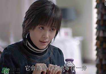 蒼蠅粉是什么意思？蒼蠅粉是什么東西？