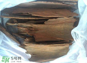 安哥拉樹皮能天天吃嗎？安哥拉樹皮天天吃可以嗎？