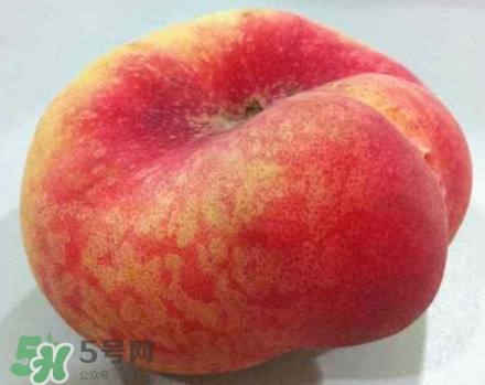 盤桃是蟠桃嗎？盤桃和蟠桃一樣嗎