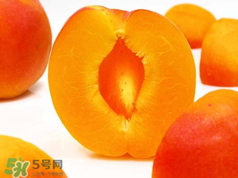 杏子幾月成熟？杏子什么時候成熟？