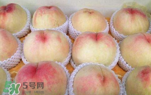 無錫水蜜桃多少錢一斤2017？無錫水蜜桃什么時候上市