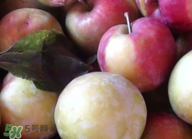 南華李什么時(shí)候成熟？南華李和三華李的區(qū)別