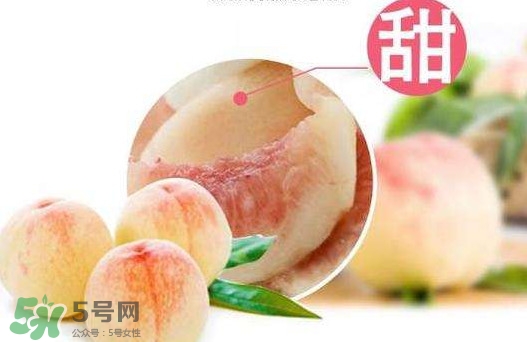 陽(yáng)山水蜜桃多少錢一斤？無(wú)錫陽(yáng)山水蜜桃價(jià)格
