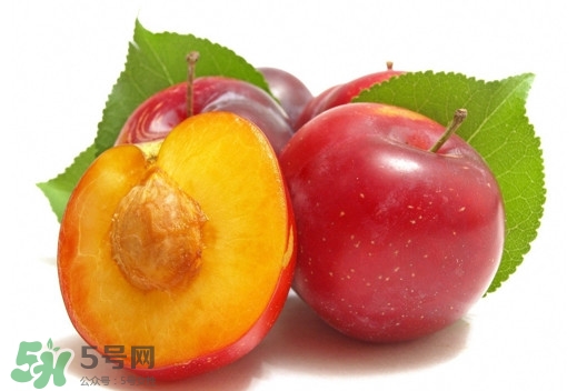 三華李可以放多久？三華李可以冷藏嗎？