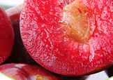 雙華李幾月可以吃？雙華李什么季節(jié)成熟