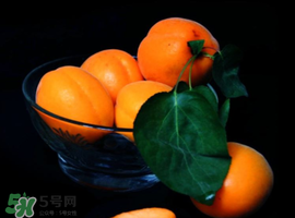 杏子可以和芒果一起吃嗎？吃完杏子可以吃芒果嗎？