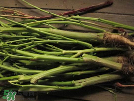莧菜桿能吃嗎？莧菜桿子可以吃嗎？