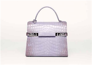delvaux2017春夏系列包包款式有哪些_好看嗎？