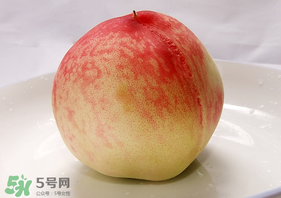 毛桃不能和什么一起吃？毛桃和什么相克？