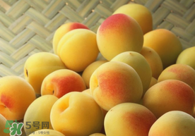 杏和雞蛋能一起吃嗎？杏子和雞蛋能一起吃嗎？
