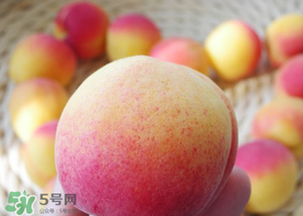 杏的熱量高嗎？一個杏的熱量是多少？