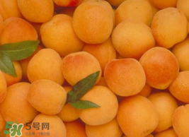 杏怎么催熟？杏怎么放熟的快？