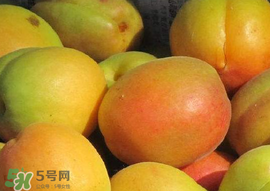杏怎么催熟？杏怎么放熟的快？