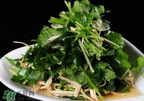 香菜是什么菜？香菜是陽痿草嗎？