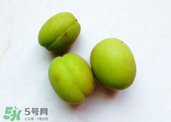 青杏怎么催熟？青杏怎么變黃？