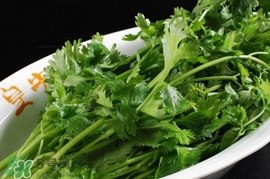 香菜是感光食物嗎？香菜是不是感光食物