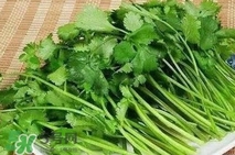香菜是堿性嗎？香菜是堿性還是酸性