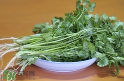 香菜是寒性食物嗎？香菜是熱性還是涼性？