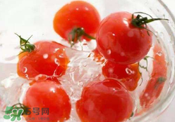 杏和西紅柿能一起吃嗎？杏子能和西紅柿一起吃嗎？