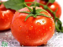 杏和西紅柿能一起吃嗎？杏子能和西紅柿一起吃嗎？