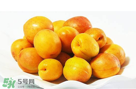 杏和荔枝能一起吃嗎？杏和荔枝一起吃會中毒嗎？