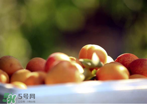 杏子好吃嗎？杏子可以多吃嗎？