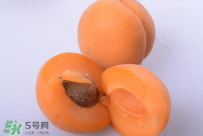 杏子好吃嗎？杏子可以多吃嗎？