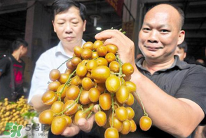 黃皮好吃嗎？黃皮是什么味道？