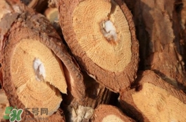 山葡萄根一斤多少錢？山葡萄根功效與作用