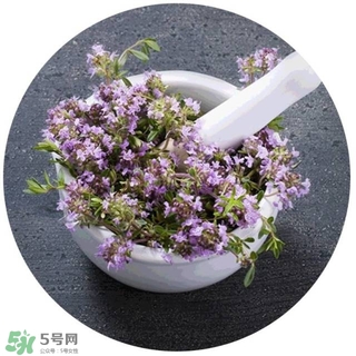 lululun plus面膜怎么樣？lululun plus面膜哪款好