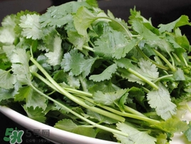 香菜是發(fā)物嗎？香菜是不是發(fā)物