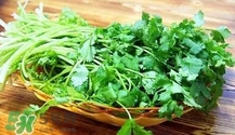 香菜是寒性食物嗎？香菜是熱性還是涼性？