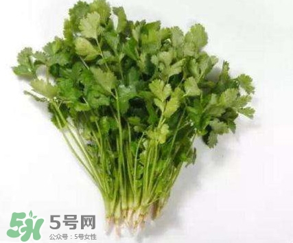 香菜洗腎有科學(xué)依據(jù)么？香菜能洗腎是真的嗎？