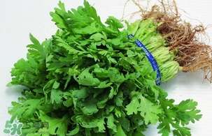 香菜是回奶的嗎？香菜是回奶還是下奶