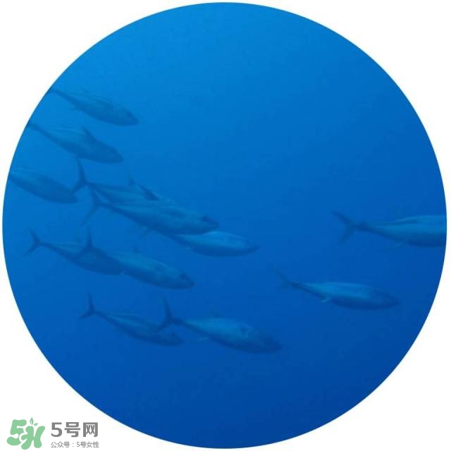 lululun plus面膜怎么樣？lululun plus面膜哪款好