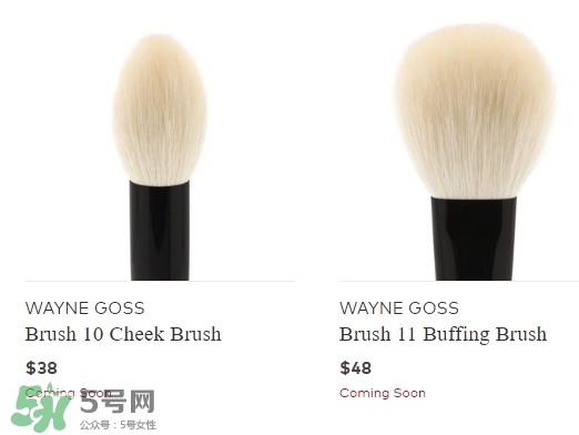 wayne goss是什么牌子？wayne goss化妝刷怎么樣？