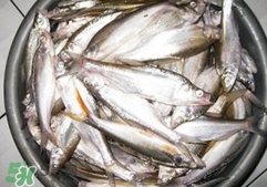 翹殼是什么魚？翹殼魚多少錢一斤2017？