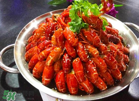 油燜大蝦吃哪些部位？怎么正確吃油燜大蝦？