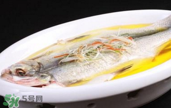 孕婦可以吃白條魚嗎？白條魚孕婦能吃嗎？