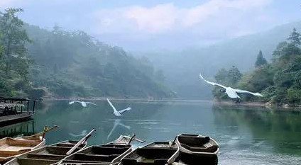 馬口魚能養(yǎng)殖嗎？馬口魚怎么養(yǎng)？